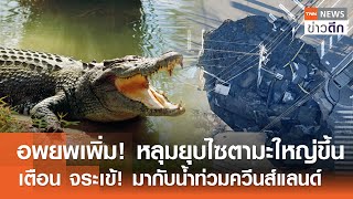 อพยพเพิ่ม! หลุมยุบไซตามะใหญ่ขึ้น - เตือน จระเข้! มากับน้ำท่วมควีนส์แลนด์ | TNN ข่าวดึก | 3 ก.พ. 68