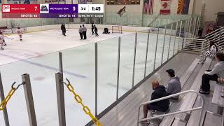 AZYHL Tier II League Game 24-25 - AHU Knights At Mission