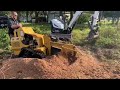 vermeer sc30tx stump grinder ~ rental stump grinder ~ lowery’s true value and rental ~ bushnell fl