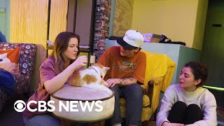 A cat cafe and forming friendships | The Uplift