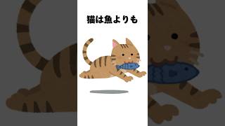 絶対に話したくなる猫の雑学【続きは動画を見てね】#雑学 #トリビア #面白い #shorts #猫 #kittycat #可愛い