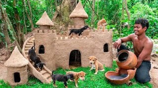 Collect Abandoned Puppy and Build Castle Mud Dog House on Unused Ant Hill People are building a hous