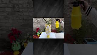 How to make Flower pot By using cement DIY