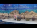 アシカショー カーリーくんがオルガンを弾く！ 三重県鳥羽水族館 toba aquarium a sea lion plays the piano.