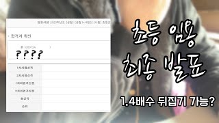 초등 임용 최종 발표와 그 후 일상 (교논 59.xx의 반란 성공…?)