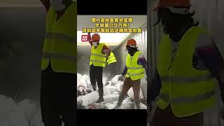 国内金枪鱼需求猛增，年销量已过万吨！深圳迎来首批远洋捕捞金枪鱼 | 财经风云