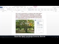 Creating Accessible Word Documents