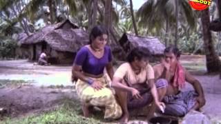 Full Malayalam Movie | Cheenavala 1975 | Prem Nazir Movie