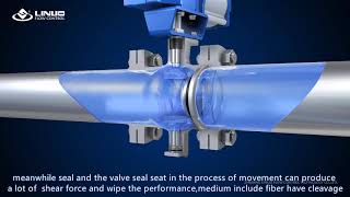 Segment Ball Valve