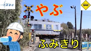 【踏切】やぶ中 踏切 東武日光線　Japan Railway crossing Tobu Nikko LINE RAILWAY(Gunma japan)