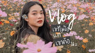 หนาวนี้ เที่ยวเขาค้อกันเถอะ!! | [VLOG] Ningcharry