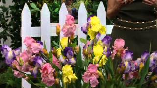 Cottage Farms 6-Piece Japanese and German Iris Collection on QVC