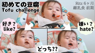 初めて豆腐を食べた生後6ヶ月赤ちゃんの反応がかわいい♡【離乳食 初期】6 month baby Ritz eats TOFU for the first time!【Eating Vlog #75】