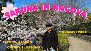 CHERRY BLOSSOMS IN NAGOYA! | Sakura 2023, Okazaki Park, Japanese Castle and many more!