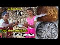 Family Vlogs Video Mani Muddu Sravani 🐟 Fish  curry  Chala baguntundi Friends 🤗🐟