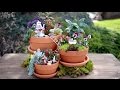 Alice in Wonderland Fairy Garden // Garden Answer