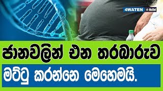 ජානවලින් එන තරබාරුව මට්ටු කරන්නෙ මෙහෙමයි : How to manage genetic obesity (NEW) 2019