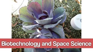 Biotechnology and Space Science