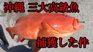 【赤い高級魚】ムロアジ泳がせたら・・・・！！！