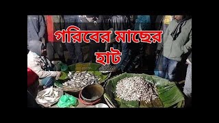 চুয়াডাঙ্গার বিখ্যাত মাছের বাজার যেখানে অনেক বড় বড় সবরকম মাছ পাওয়া যায়