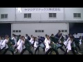 福井大学よっしゃこい2014「四季彩」　とんとん祭り