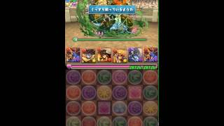 【パズドラ】ヘラクレス降臨 超地獄級 シヴァ=ドラゴンPT（周回編成）