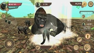 Wild Panther Sim 3D Android Gameplay #9