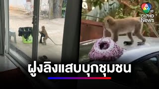 ชาวบ้านกลุ้มใจ ลิงป่วนสร้างเรื่องไปทั่วชุมชน | สนามข่าว 7 สี