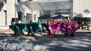 TACYON BLUE URGE 高知大学黒潮祭　よさこい　2024.11.03