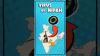¡Alerta! Virus mortal preocupa en India: virus de NIPAH #shorts