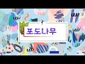 bgm 나는 참 포도나무