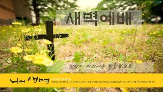 2025. 1. 8 새벽예배 (요한복음 3:1-9) 곽창훈 목사