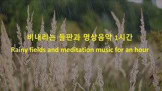 비내리는 들판과 명상음악 1시간  -  Rainy fields and meditation music for an hour