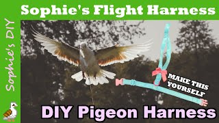 The Sophie The Pigeon Harness DIY - A DIY Pigeon Flight Harness