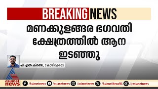 കൊയിലാണ്ടി കുറുവങ്ങാട് ഉത്സവത്തിനിടെ ആനകൾ ഇടഞ്ഞു; 15 പേർക്ക് പരിക്ക് | Koyilandy| Elephant