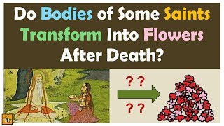 Do Bodies of Some Saints Transform Into Flowers After Death? | Mother Mirra & Swami Vivekananda