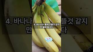 당신이 몰랐던 바나나의 10가지 비밀