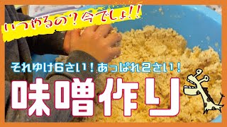 #1【味噌づくり】子どもと一緒に味噌を仕込んでみた。とっても簡単だからステイホームにもおすすめ！