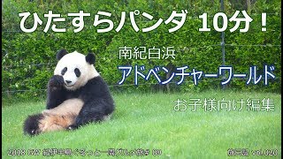 パンダ10分！　南紀白浜 アドベンチャーワールド | 2018 GW 紀伊半島ぐるっと一周グルメ旅#09