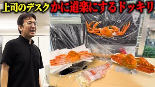 上司のデスクをかに道楽にしちゃうドッキリ