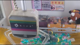 こんばんは自宅ゲーセンぴょんたエンターテイメントUFOキャッチャーLIVE配信