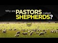 Why Are Pastors Called Shepherds?