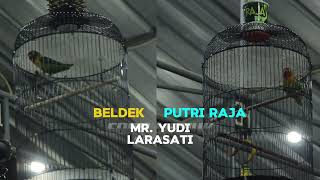 Duo Larasati Aduhai | Menyok CUP 1 Di Gantangan Auri Surabaya