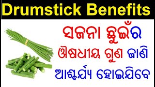 ସଜନା ଛୁଇଁର ଉପକାରିତା | Sajana chuin ra upakarita Odia | Drumstick benefits in Odia | Odia health tips