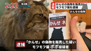 【速報】「かんせ」の偽物を販売した疑いで猫を逮捕しました。