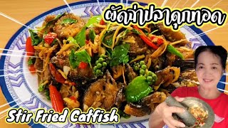 #ผัดฉ่าปลาดุกทอด #Stir-fried Catfish #เผ็ดร้อนเครื่องสมุนไพรอร่อยๆ @Kaeเก๋904