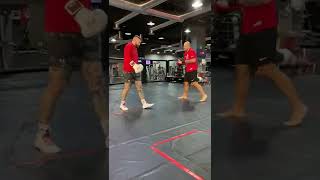 Vlasto Cepo | MMA | CFC Ad Maiora | Training Reel