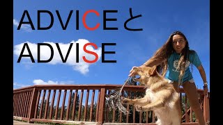 ADVICEとADVISEの違い：ハッピー英会話レッスン214