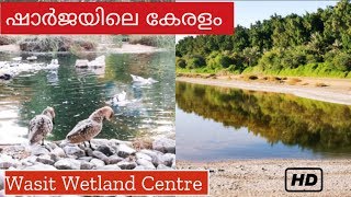 !!കേരളം പോലെ ഒരു പ്രകൃതി അതും മണലാര്യന്നതിൽ!!watch wasit wetland centre vlog