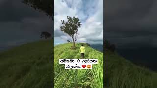 #නිදහස් #නිස්කලන්ක සොබාදහම බලන්නකො ඒ  #ලස්සන..😍 like  කරලා subcrib කරලා තියාගන්න Channel එක ළමයි.❤😘